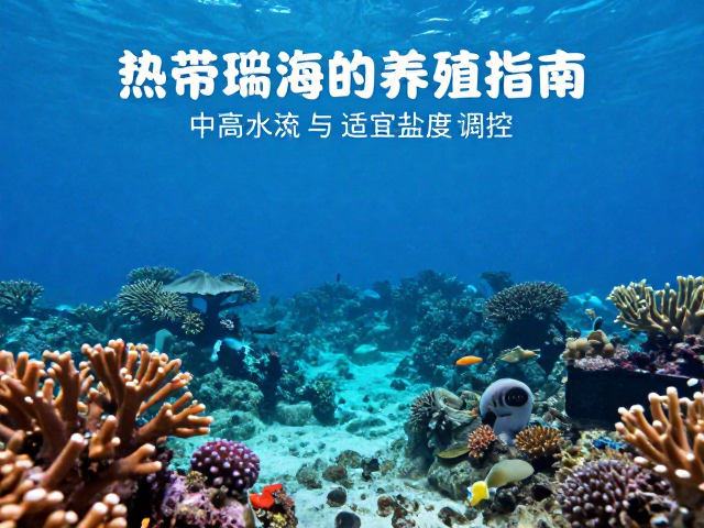 热带珊瑚礁海域养殖指南，中高水流与适宜盐度调控技巧