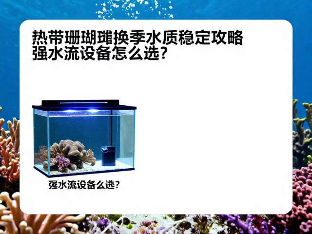 热带珊瑚礁换季水质稳定攻略，强水流设备怎么选？