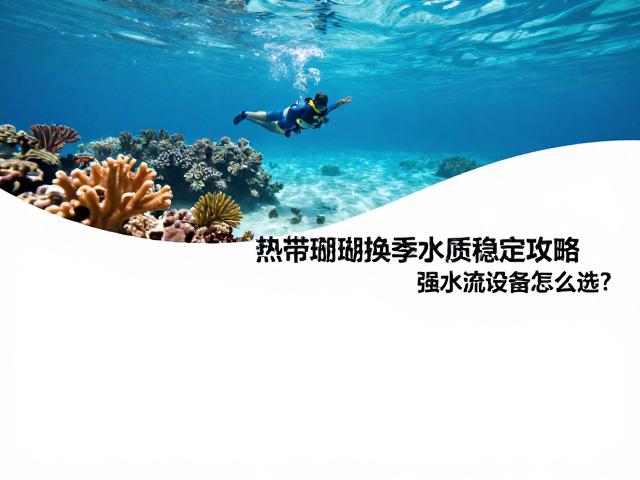 热带珊瑚礁换季水质稳定攻略，强水流设备怎么选？