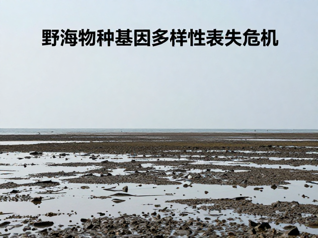 野生种群锐减，潮间带至浅海物种基因多样性丧失危机