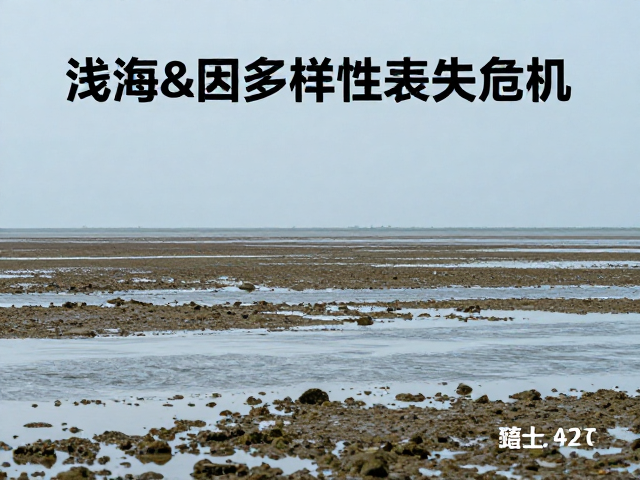 野生种群锐减，潮间带至浅海物种基因多样性丧失危机