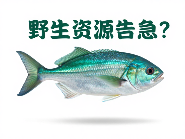 绿蓝子鱼野生资源告急？科学饲养成关键，守护生态平衡