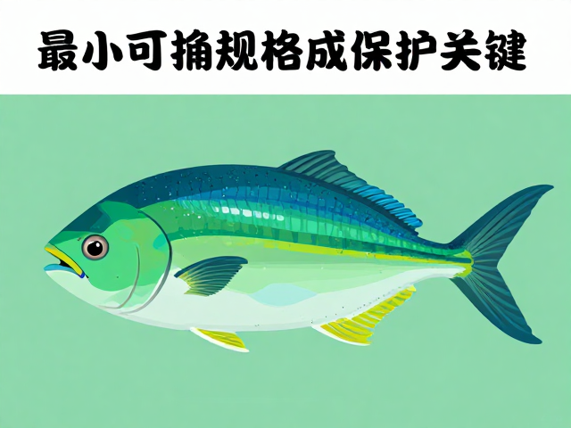 绿蓝子鱼野生资源下降，最小可捕规格成保护关键