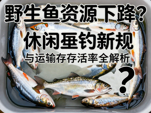 野生鱼资源下降？休闲垂钓新规与运输存活率全解析