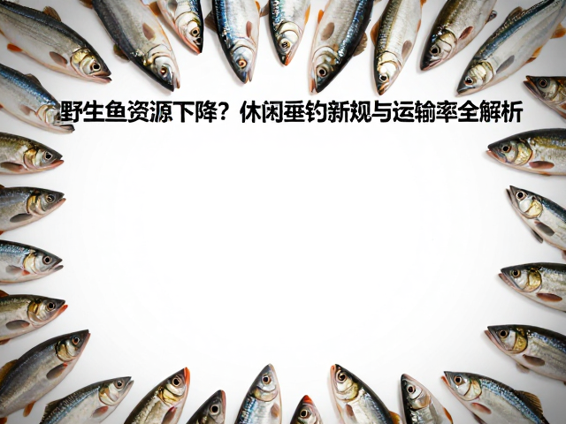 野生鱼资源下降？休闲垂钓新规与运输存活率全解析