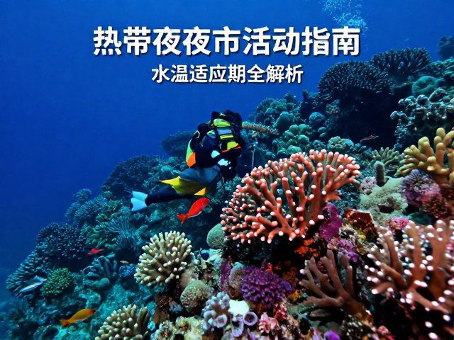 热带珊瑚礁夜间活动指南,水温适应期全解析