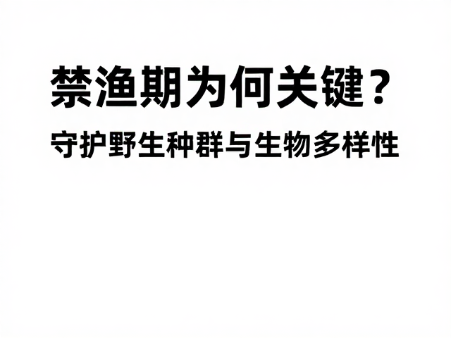 禁渔期为何关键？守护野生种群与生物多样性