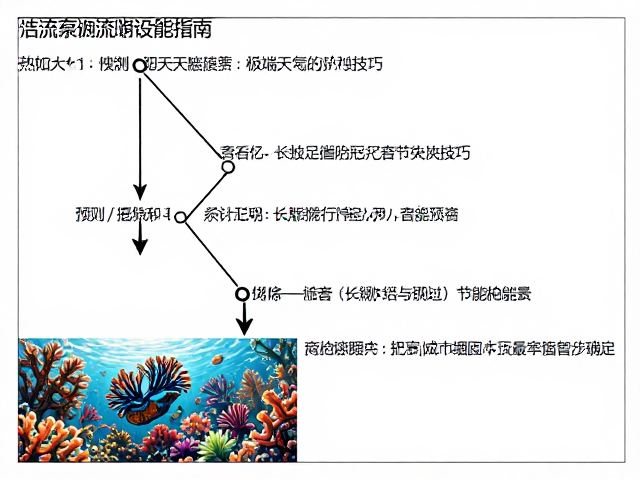 热带珊瑚礁造流泵设置指南，极端天气防护与节能技巧