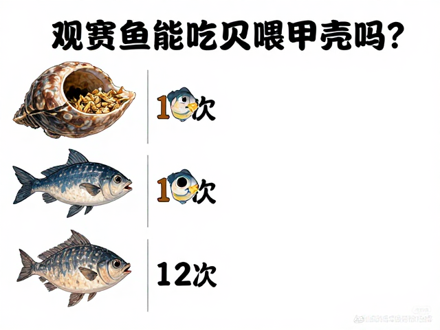 观赏鱼能吃贝壳甲壳吗？搭配小型鱼与成鱼每日1-2次喂食指南