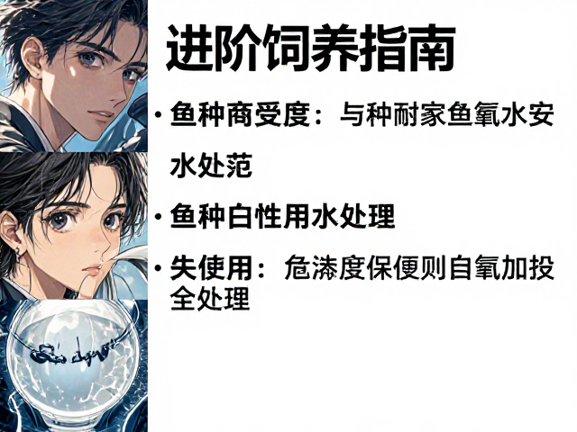 进阶饲养指南，鱼种温度耐受度与除氯自来水安全处理