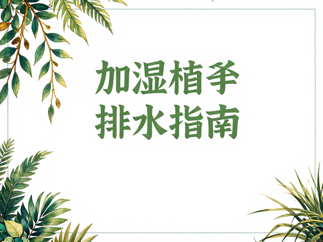 春季加湿排水指南,节假日无人照料下的植物养护技巧