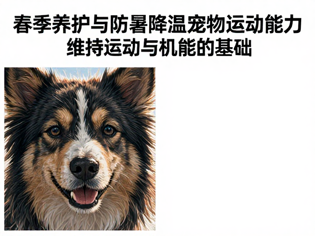 春季养护与防暑降温,如何科学评估宠物活动能力