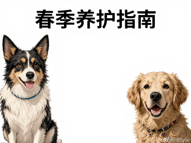 春季养护指南,避免高温暴晒,减少喂食量助宠物健康