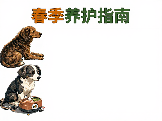 春季养护指南,增加喂食频率与通风换气,呵护宠物健康