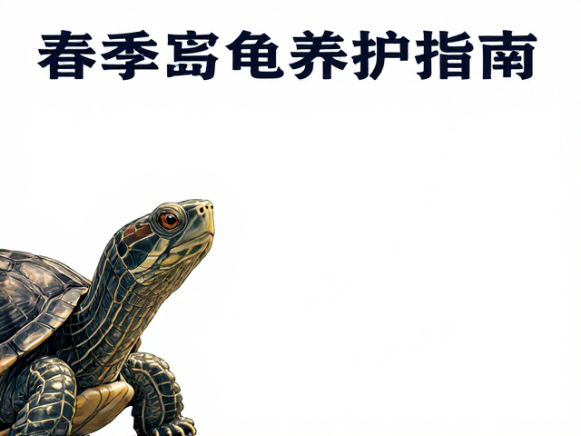 春季乌龟养护指南,UVB灯使用与光照周期调节全解析