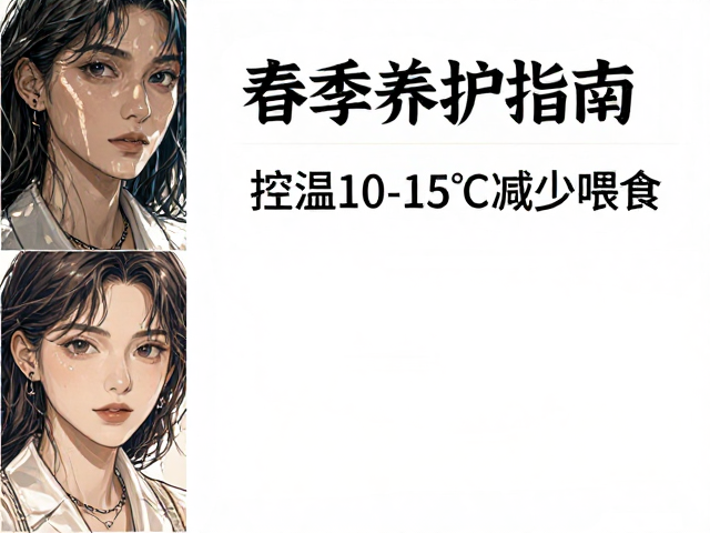 春季养护指南,控温10-15℃减少喂食,新手必看