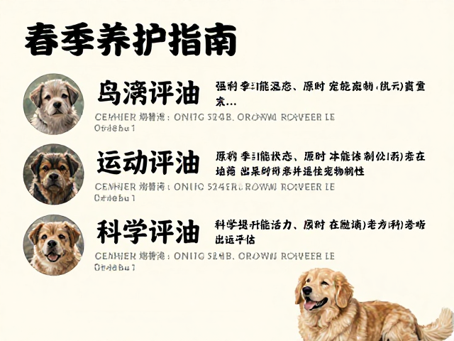 春季养护指南，渐进调温，活动评估，科学提升宠物活力