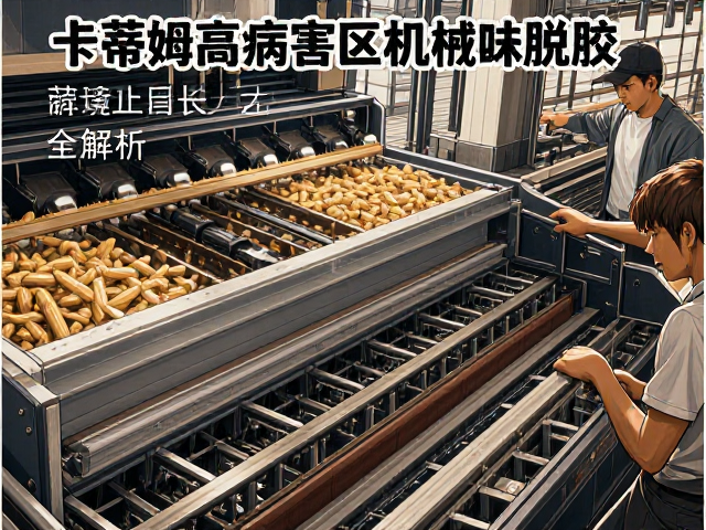 机械脱胶核心技术与工艺优化路径