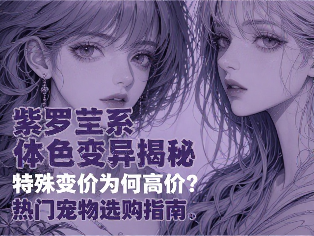 紫罗兰系体色变异揭秘,特殊变异为何高价?热门宠物选购指南