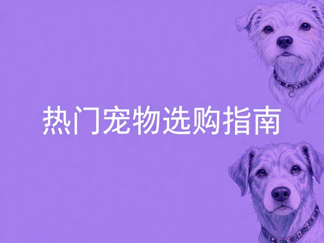紫罗兰系体色变异揭秘,特殊变异为何高价?热门宠物选购指南