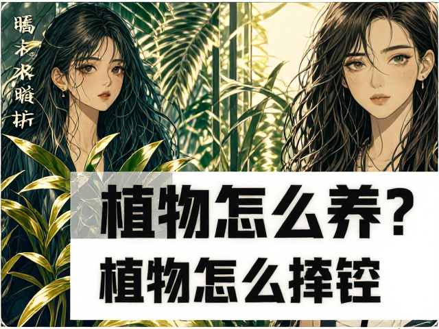 仿真植物怎么养?水温控制与无毒材料选择全攻略