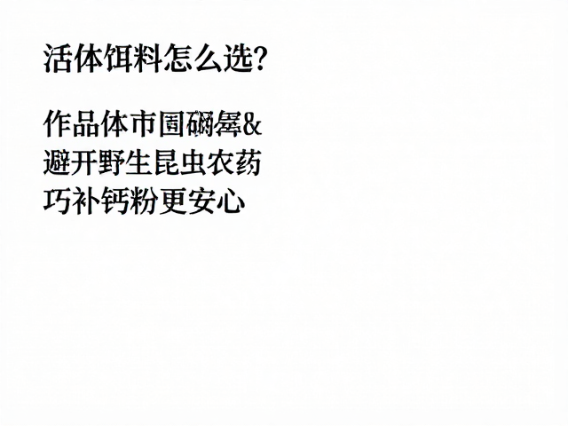 活体饵料怎么选?避开野生昆虫农药,巧补钙粉更安心