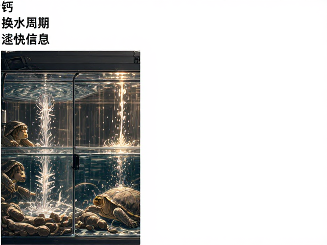 龟缸换水周期规范，钙粉添加与避免烫伤全指南