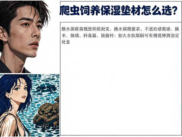 爬虫饲养保湿垫材怎么选？换水周期与视觉屏障设置全解析