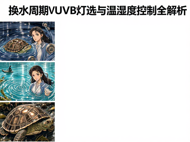乌龟饲养指南,换水周期、UVB灯选择与温湿度分区控制全解析