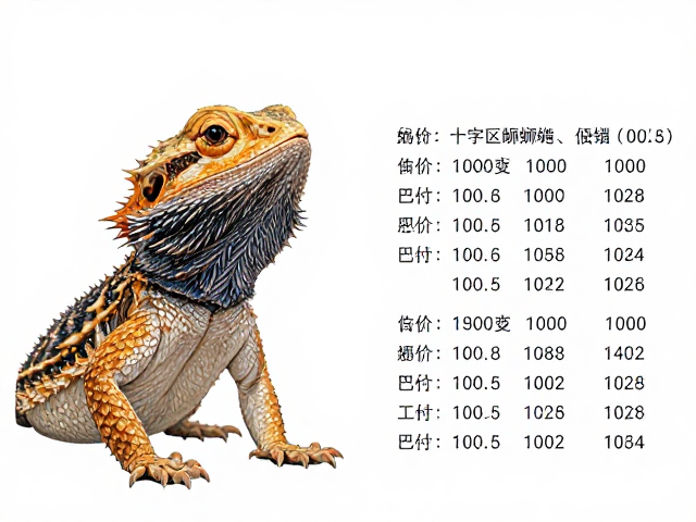 原色鬃狮蜥与十字区鬃狮蜥区别,入门级低价选购指南