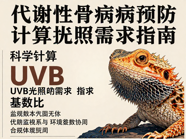 原色鬃狮蜥代谢性骨病预防,科学计算UVB光照需求指南