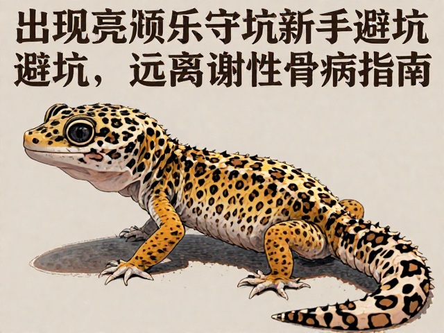豹纹守宫新手避坑,远离代谢性骨病指南