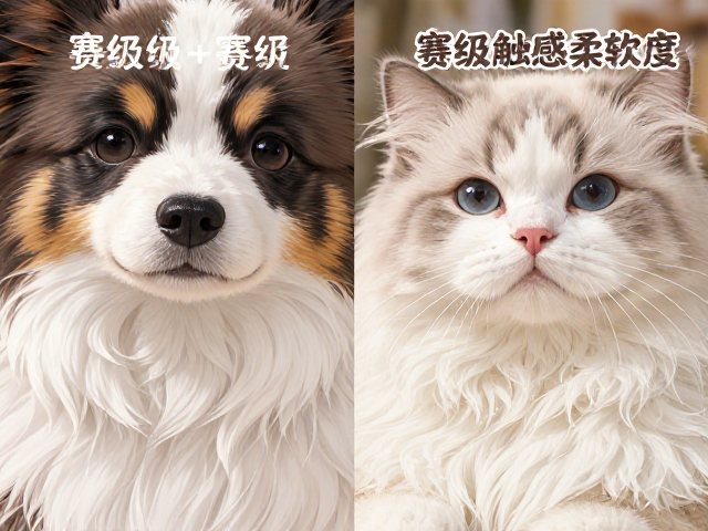 宠物级vs赛级触感柔软度差异,颜色分类选购指南