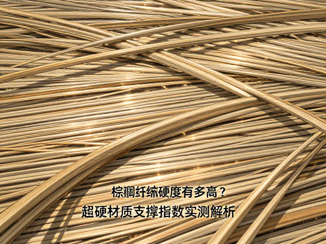 棕榈纤维硬度有多高?超硬材质支撑指数实测解析