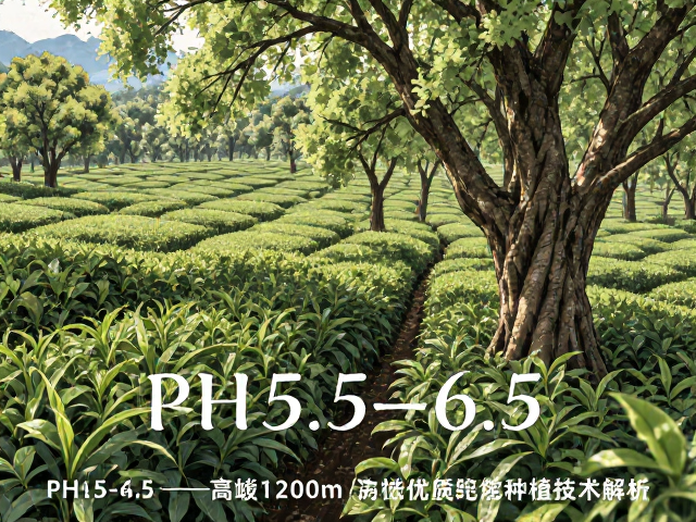 茶园精细化管护与病虫害生态防控