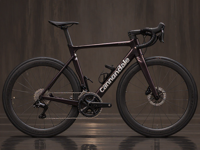 跨省漫游骑行,Cannondale Topstone宽范围飞轮长途性能解析
