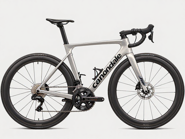 跨省漫游骑行,Cannondale Topstone宽范围飞轮长途性能解析