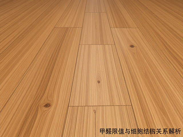 防潮实木地板甲醛限值与细胞结构关系解析