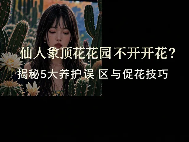 仙人掌屋顶花园不开花?揭秘5大养护误区与促花技巧