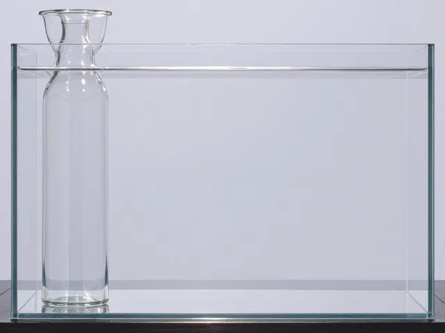 水陆缸造景，玻璃瓶留白艺术，打造极简高级感生态景观