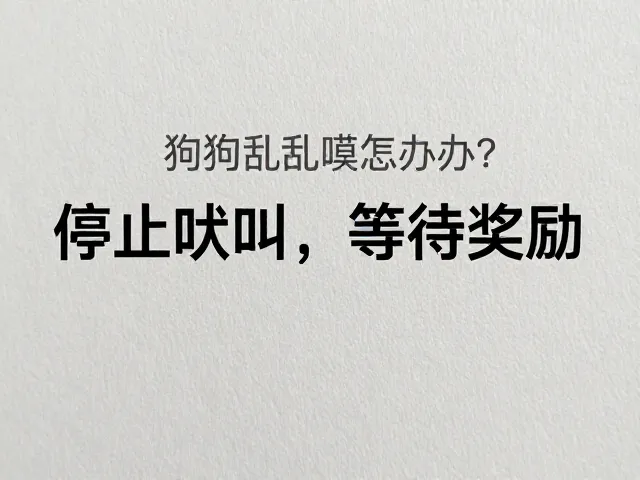 应对常见场景的实操策略