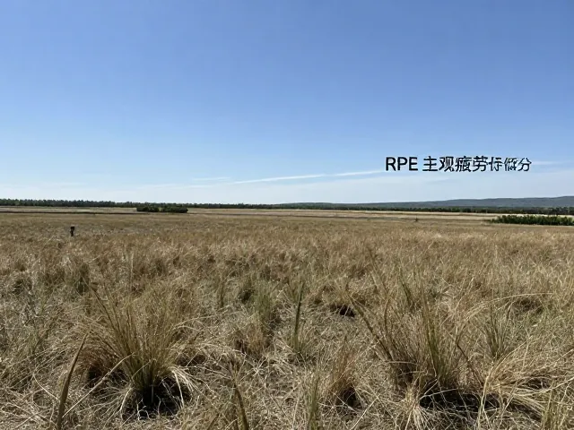 环境适应与实时监测