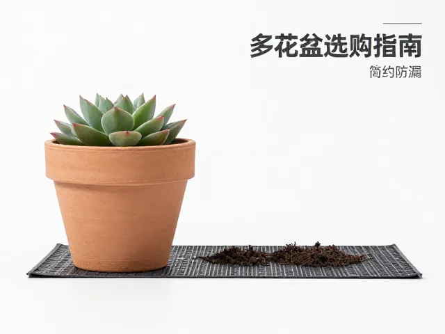 简约设计对空间美学与摆放的影响