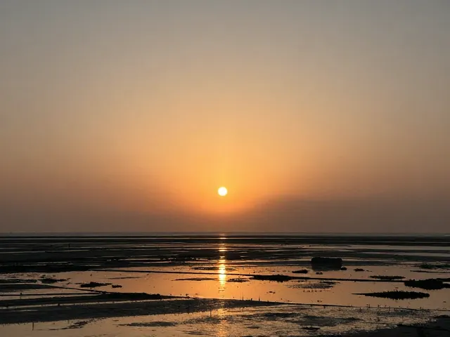 海岸线与湿地生态的取景策略