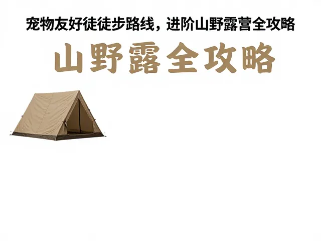 路线选择与环境评估