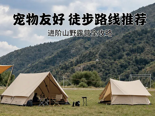 山野露营实操技巧
