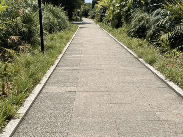 宠物友好徒步路线推荐，低干扰自然步道，可带宠餐厅全攻略