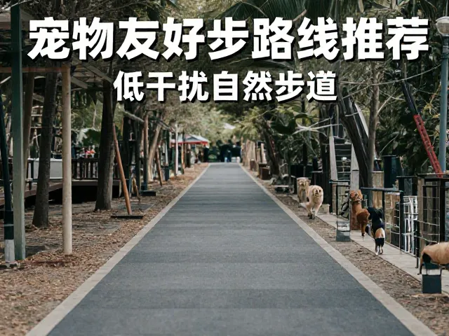 行前准备与安全规范