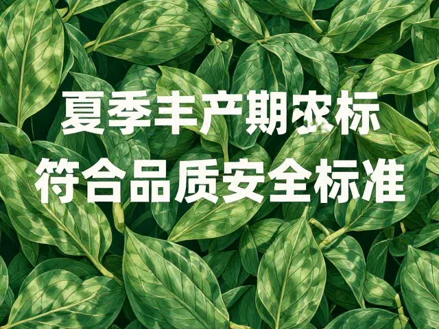 夏季丰产期农产品，成熟指标达标，符合质量安全标准