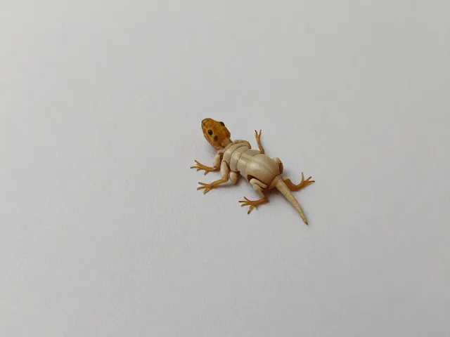 爬宠蜕皮期卡肢怎么办?3招防止跌落受伤,新手必看保命技巧